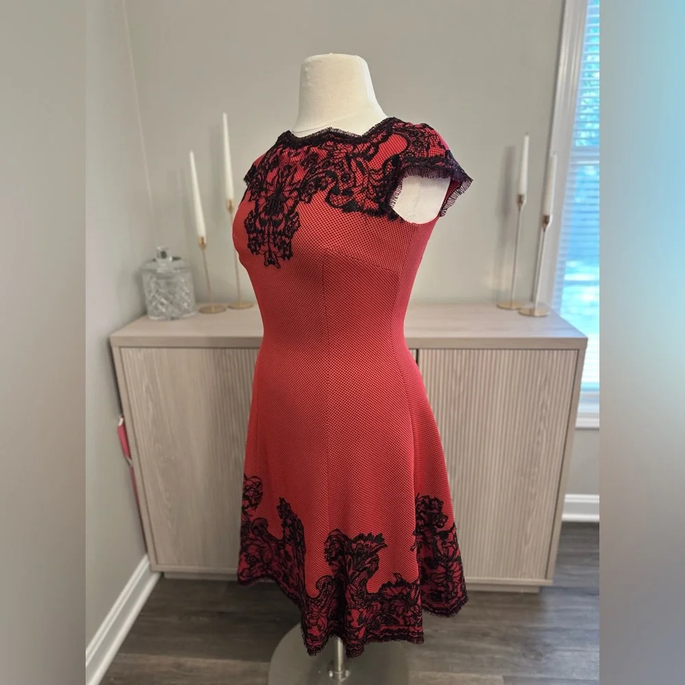 Tadashi‎ Shoji Lace Dress